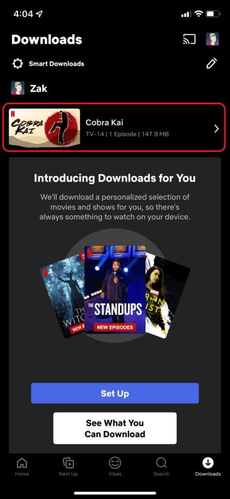 The Netflix iOS app, showing how to play your downloaded tv shows