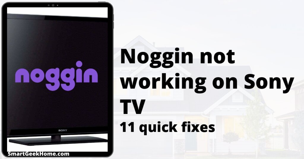 Noggin not working on Sony TV: 11 quick fixes