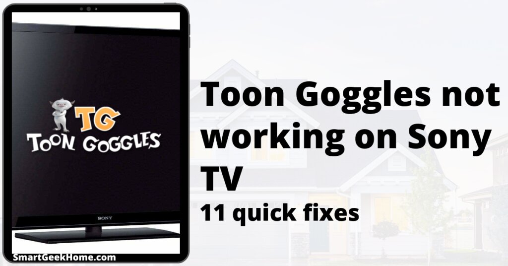 Toon Goggles not working on Sony TV: 11 quick fixes