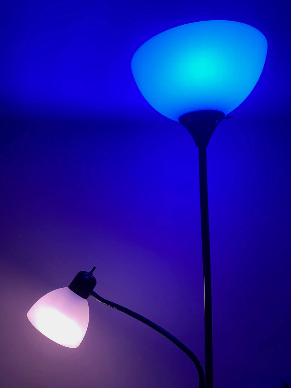 Philips Hue smart light bulbs showing their color-changing ability